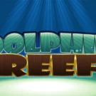 Dolphin Reef