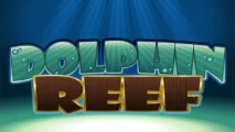 Dolphin Reef